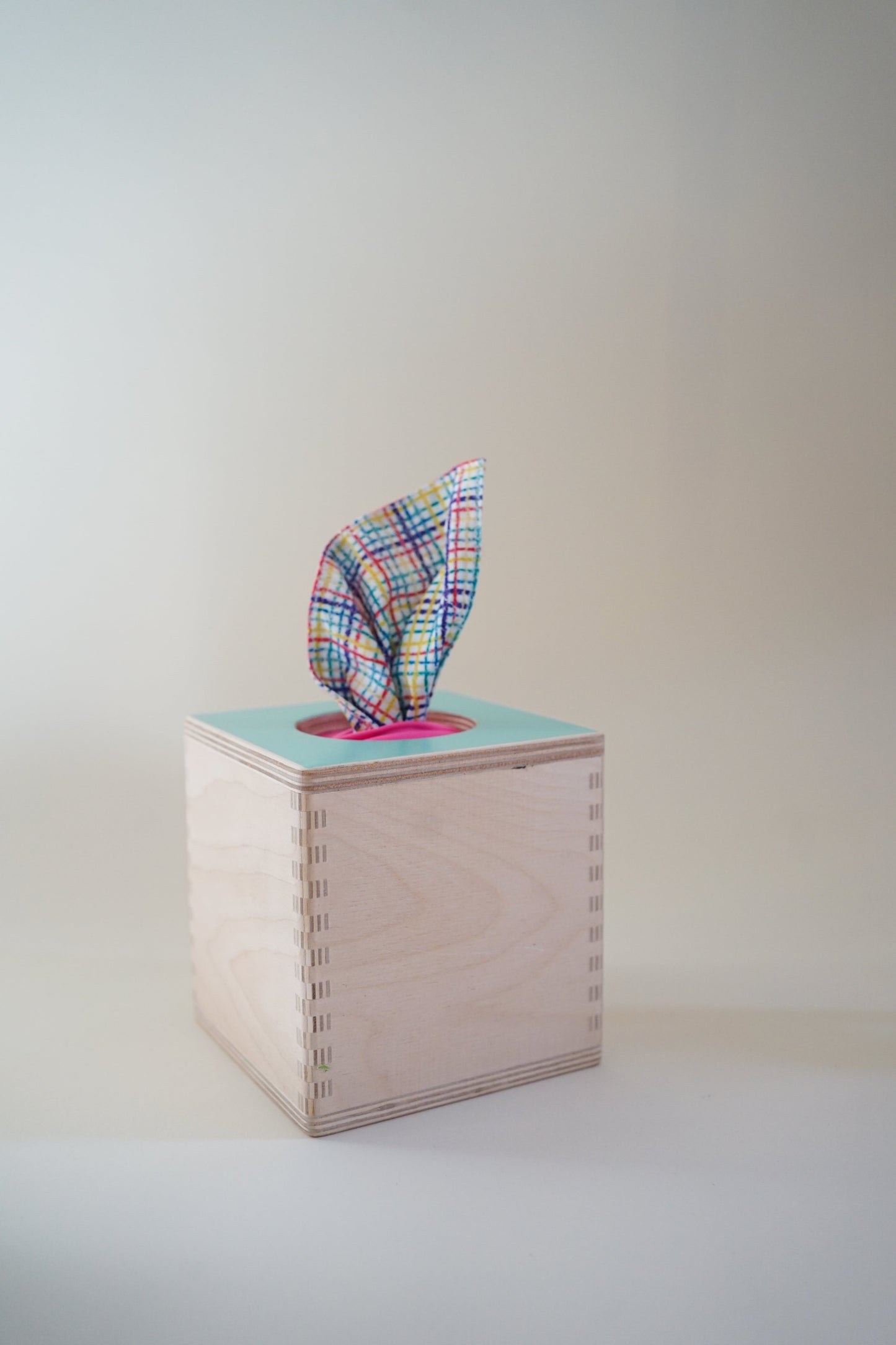 Montessori Tissue Box