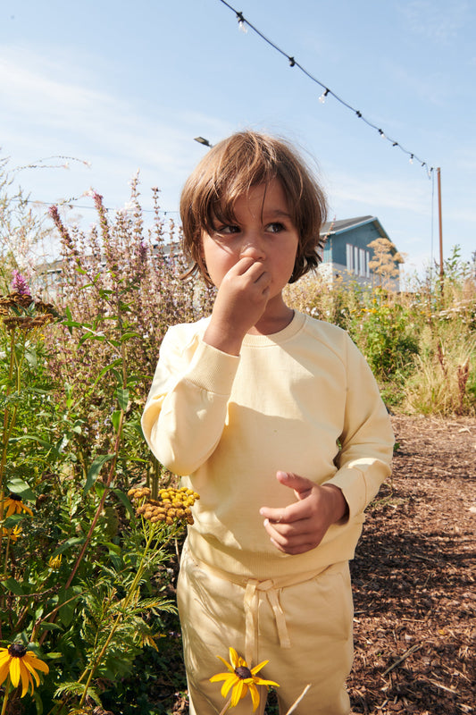 Sweat Shirt- Pale Yellow