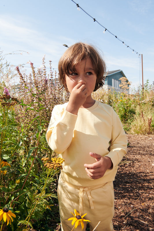 Sweat Shorts - Pale Yellow