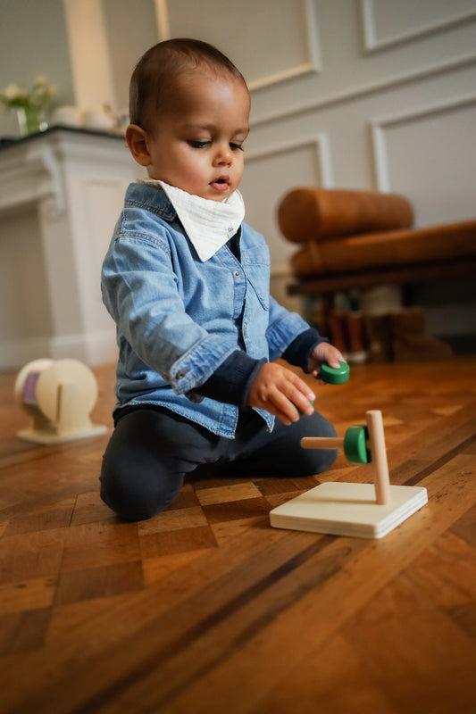 Montessori Discs in Horizontal Dowel